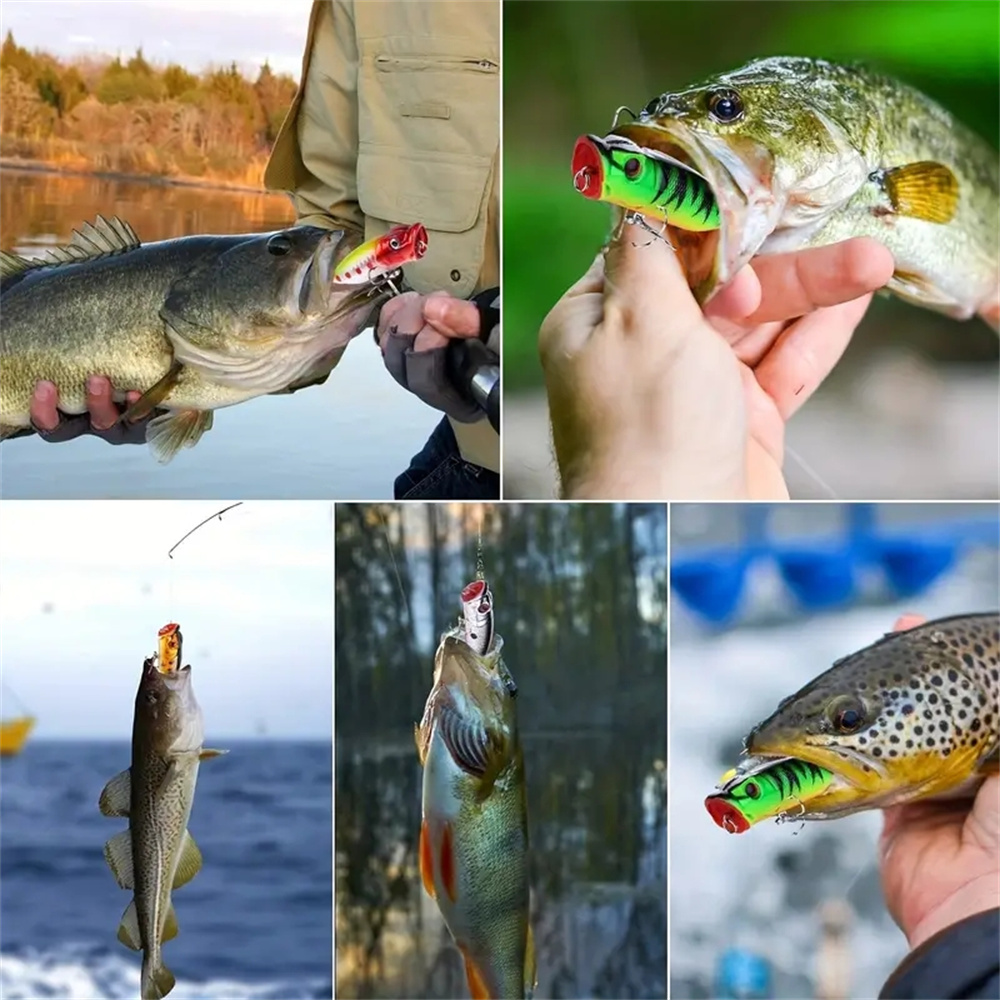 5 Buah Umpan Pancing Popper Ma - Fishing Lure Crankbait ulasan dan harga